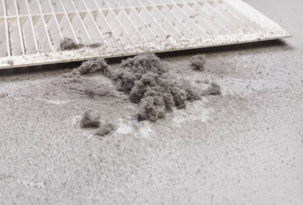 Best Ductwork Cleaning Services  in Huachuca City, AZ