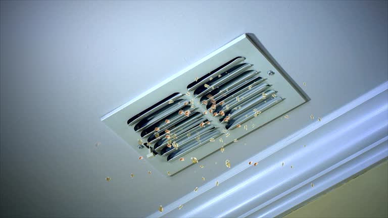 Best Ventilation Cleaning Services  in Huachuca City, AZ