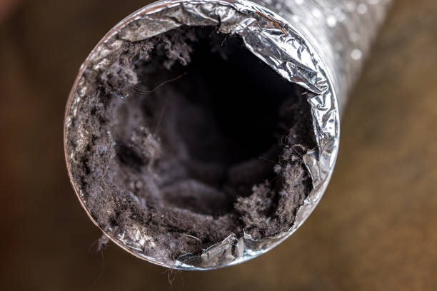 Best Air Duct Cleaning Near Me  in Huachuca City, AZ